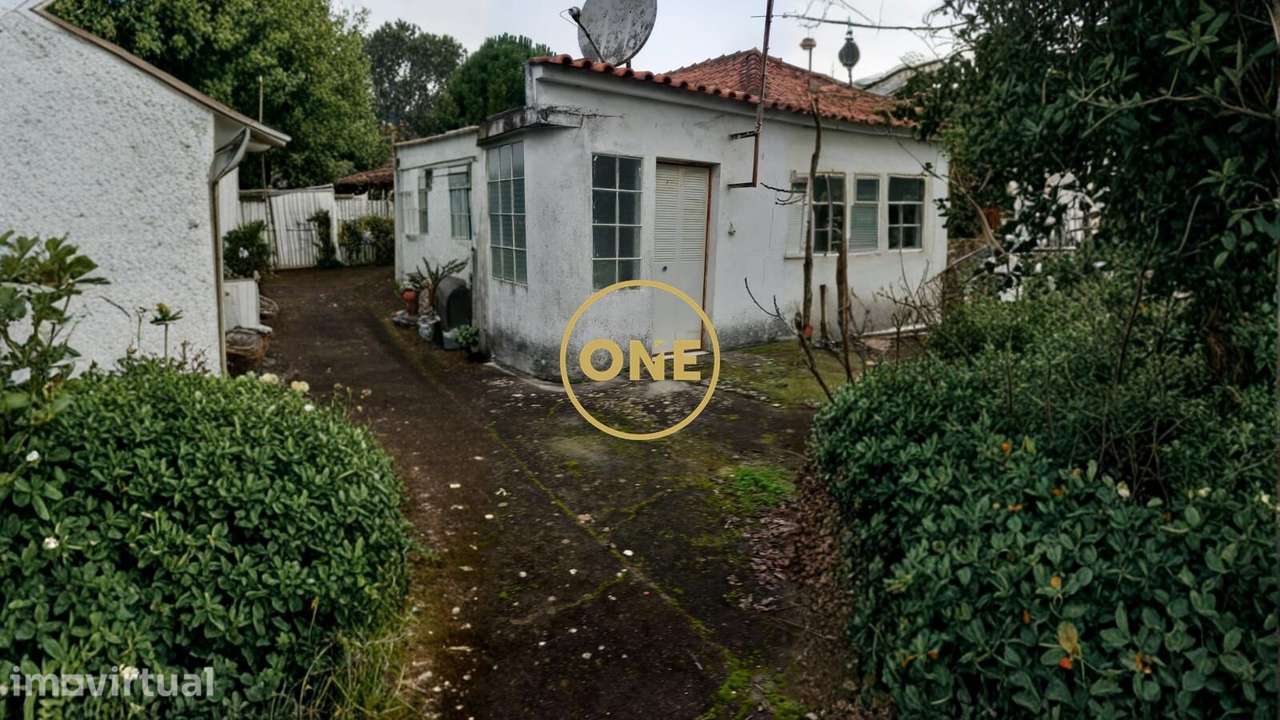 Quinta com 5120 m2 para recuperar em Valhelhas, Torres Novas - Grande imagem: 4/23