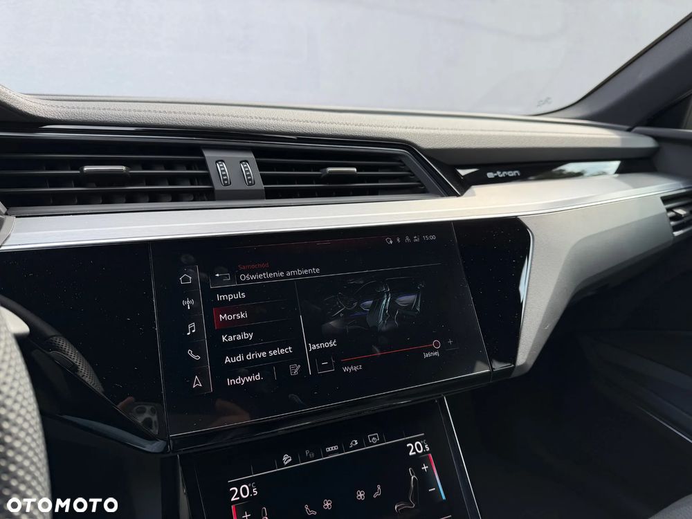 Audi Q8 - 17