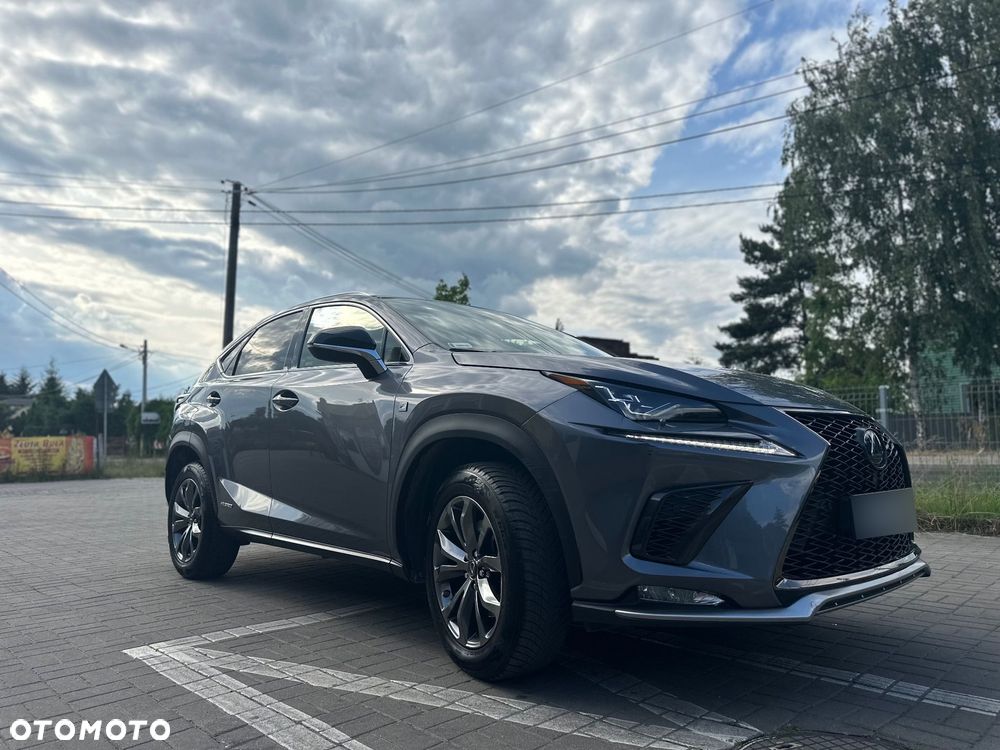 Lexus NX 350h F Sport AWD - 7