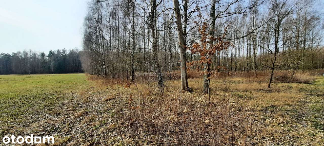 Działka na sprzedaż, Dąbrówka-Niwka - Pełny obrazek: 3/8