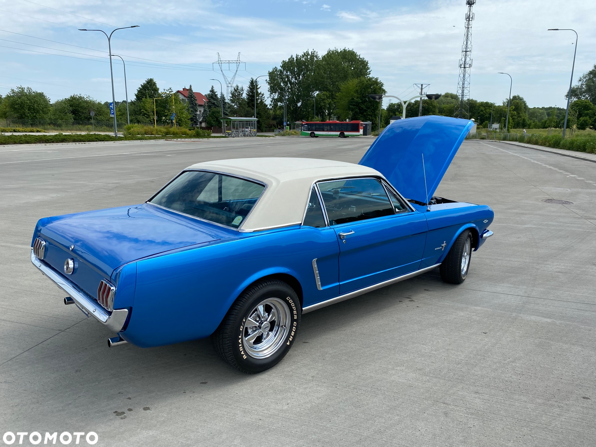 Ford Mustang - 7