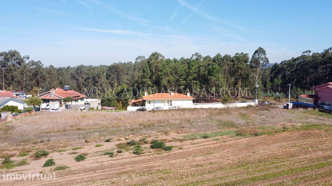 Terreno c/ 16,560m2 - São Miguel de Souto - Grande imagem: 5/16