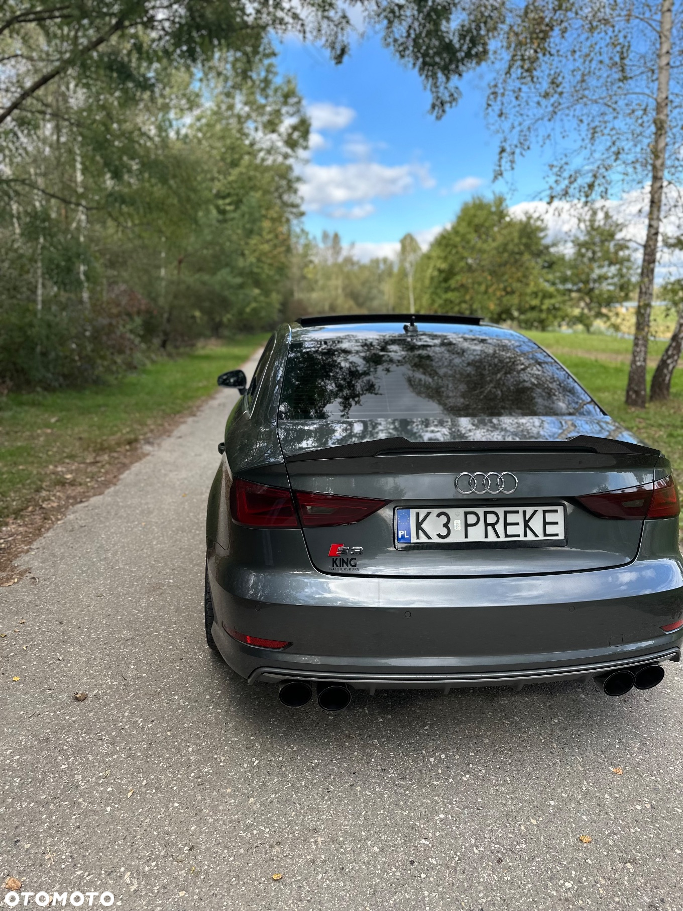 Audi S3 2.0 TFSI Quattro S tronic - 19