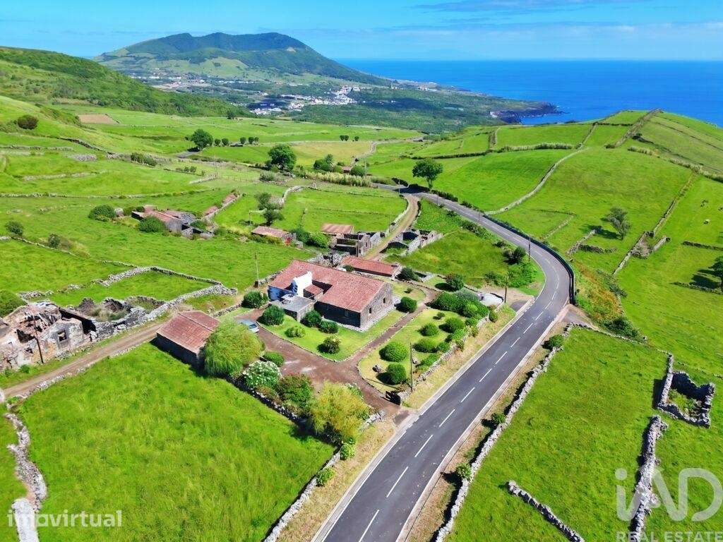 Casa de Campo T2 em Luz de 208 m2 - Grande imagem: 4/40
