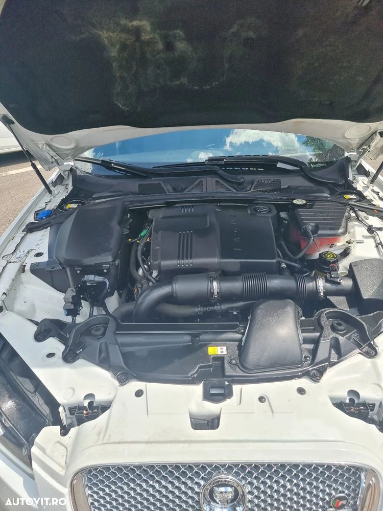 Jaguar XF 2.2D Luxury - 17