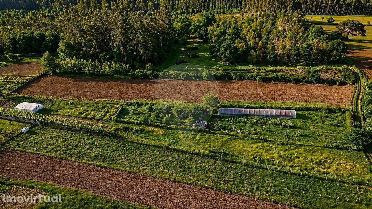 Terreno  para venda - Grande imagem: 2/10