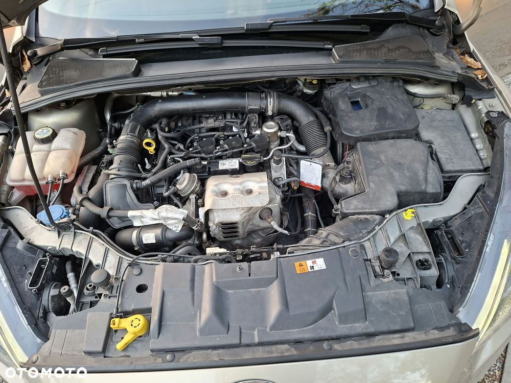 Ford Focus - 27