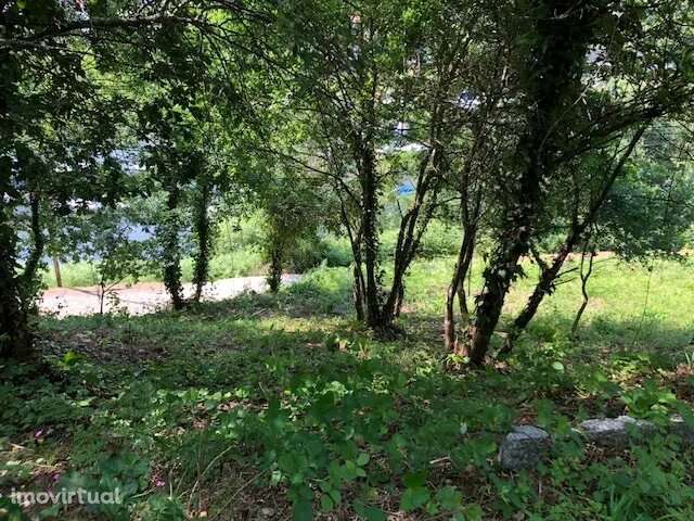 Terreno junto ao Rio Douro em Medas, Gondomar - Grande imagem: 3/10