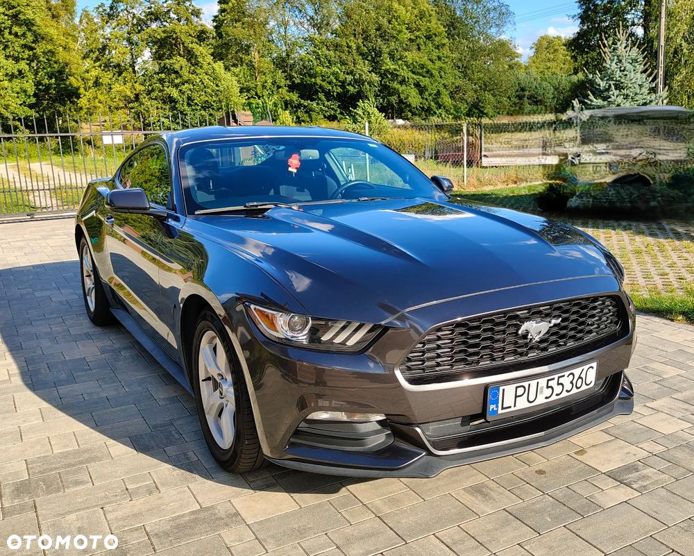 Ford Mustang - 1