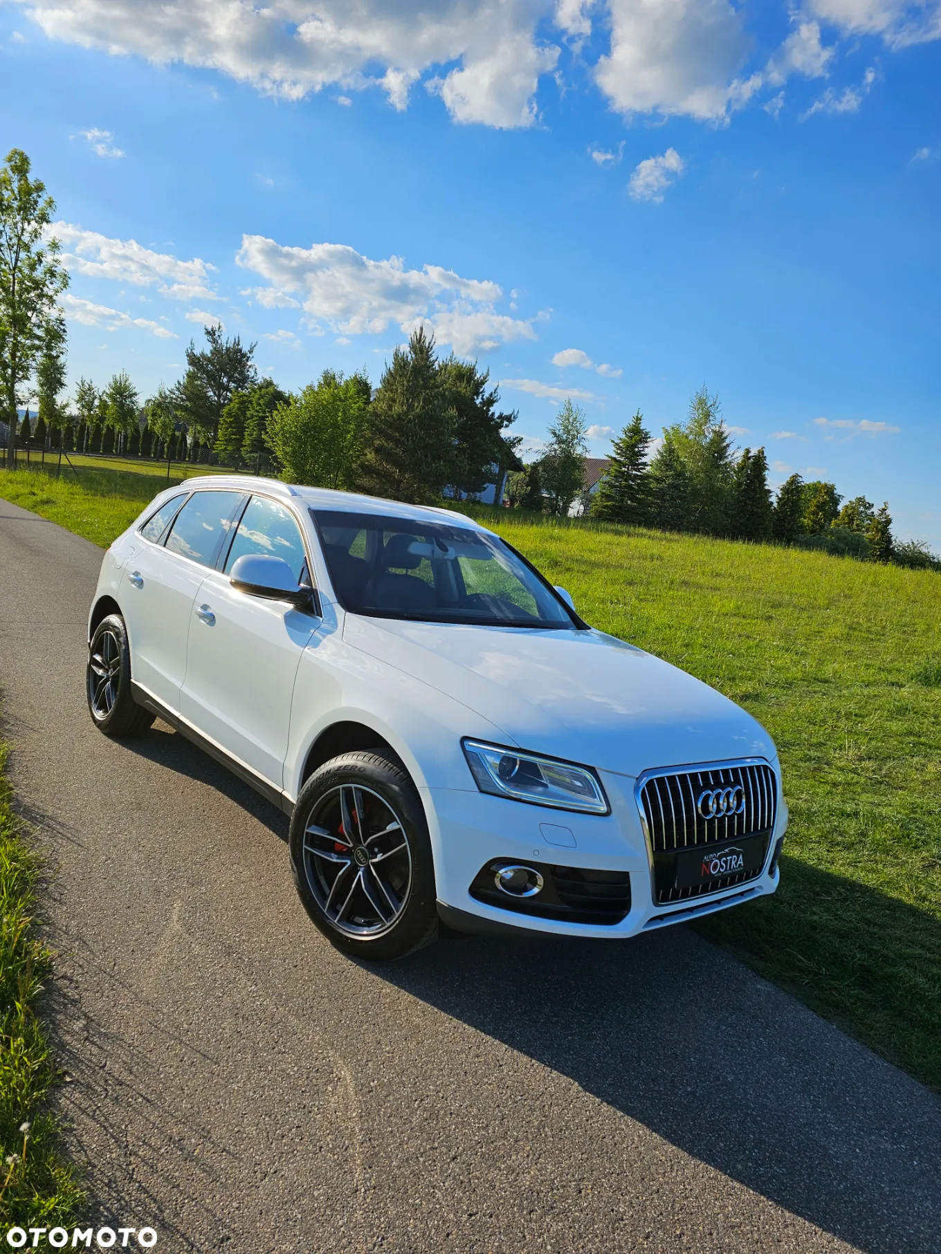 Audi Q5 2.0 TDI quattro (clean diesel) - 11