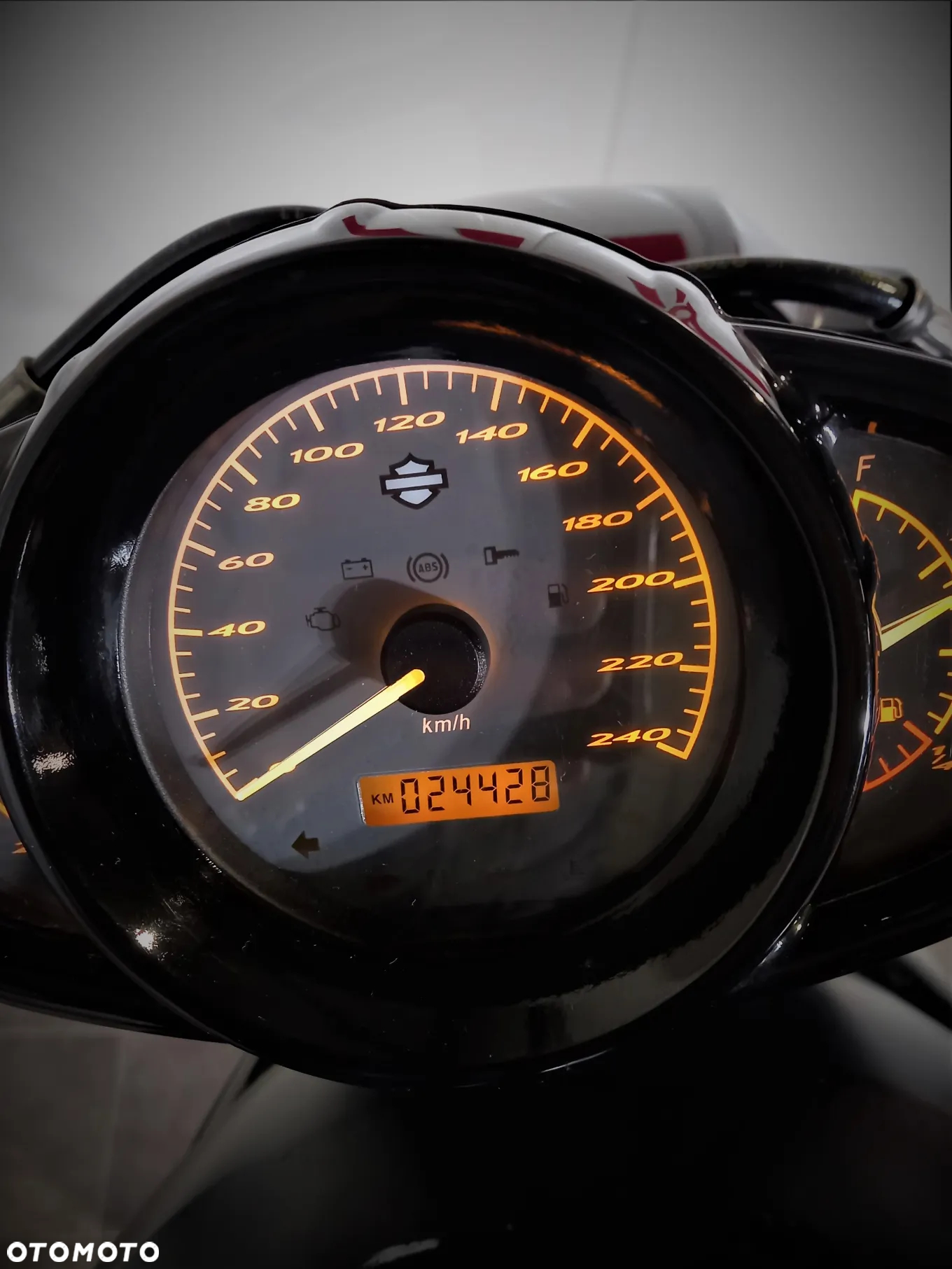 Harley-Davidson Softail V-Rod - 6