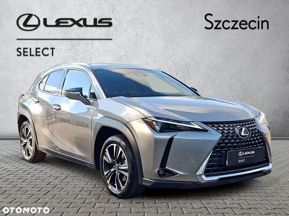 Lexus UX 300h Business - 7
