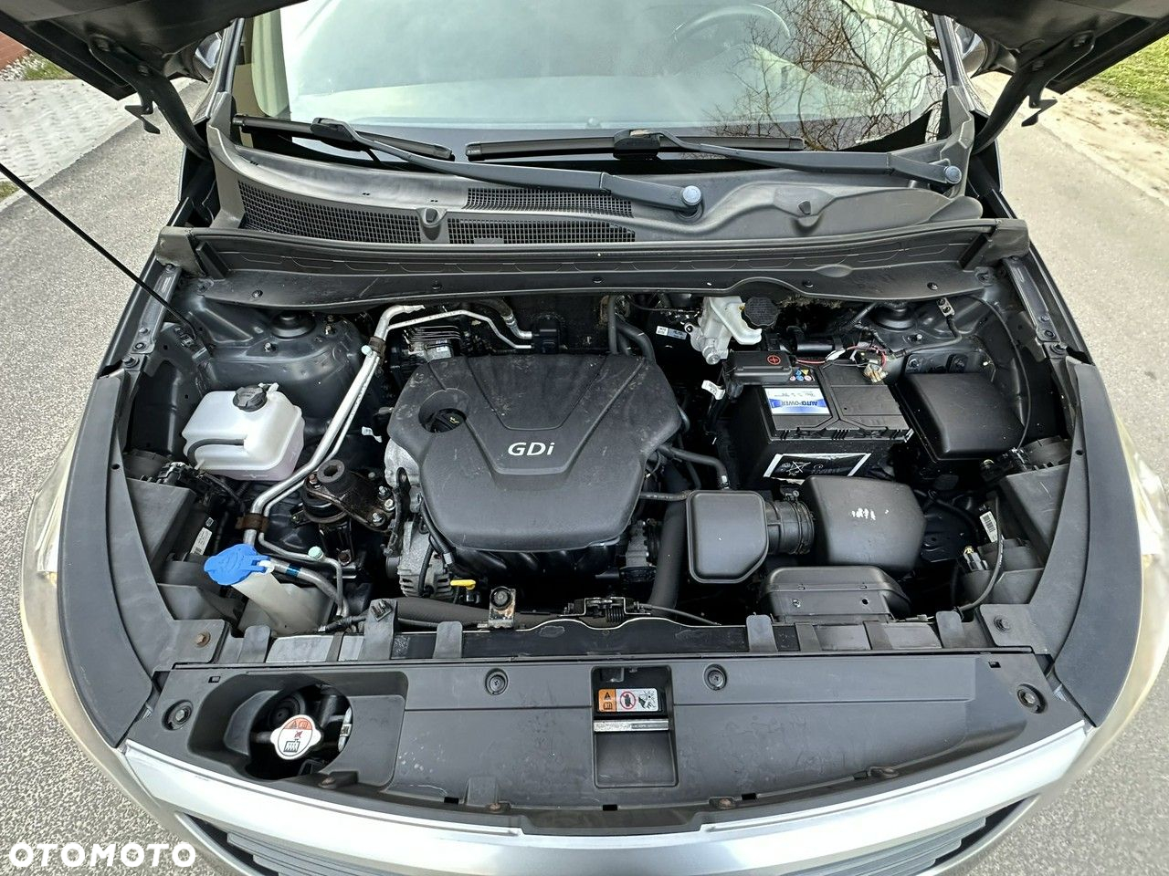 Kia Sportage - 38
