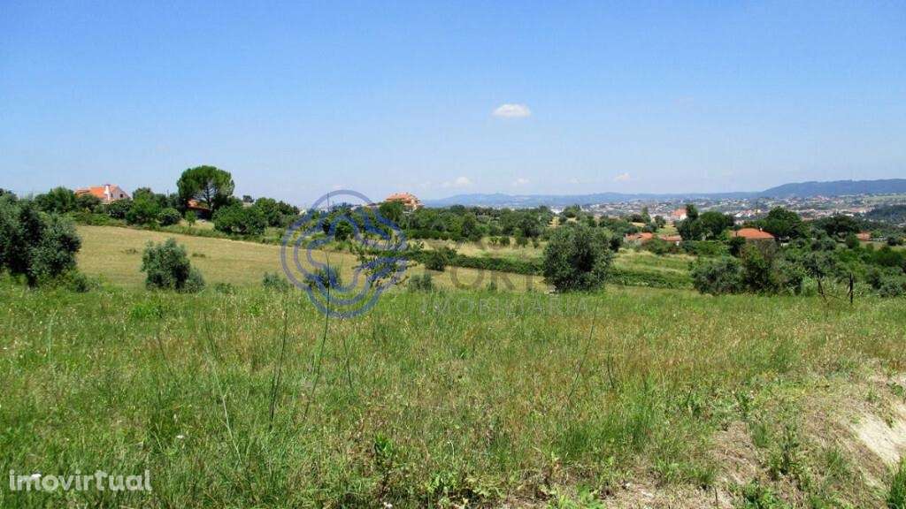 Terreno para construção junto da cidade de Tomar no Centro de Portugal - Grande imagem: 3/16