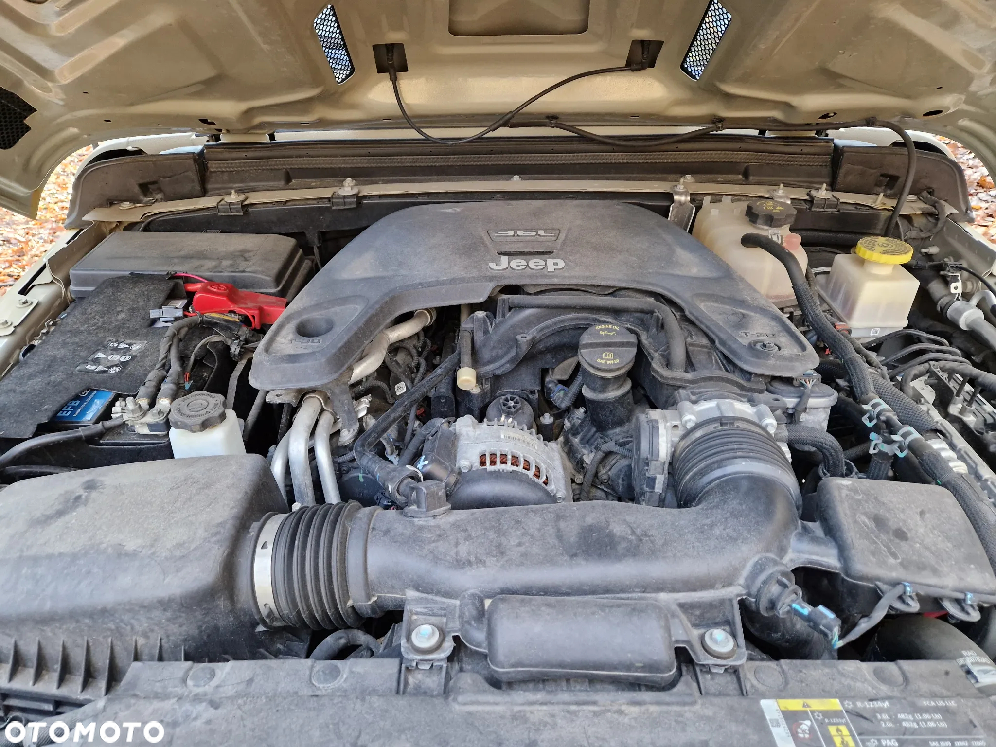 Jeep Inny - 15