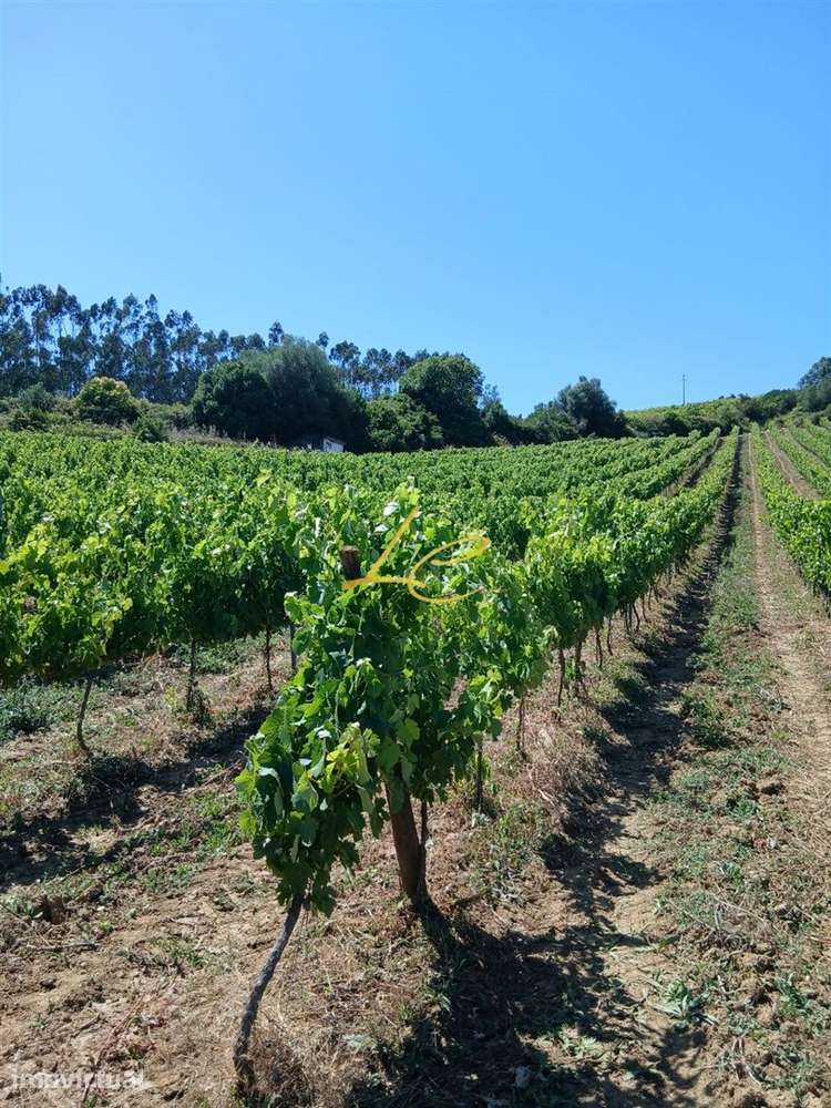 Terreno  Venda em Vila Verde dos Francos,Alenquer - Grande imagem: 5/6
