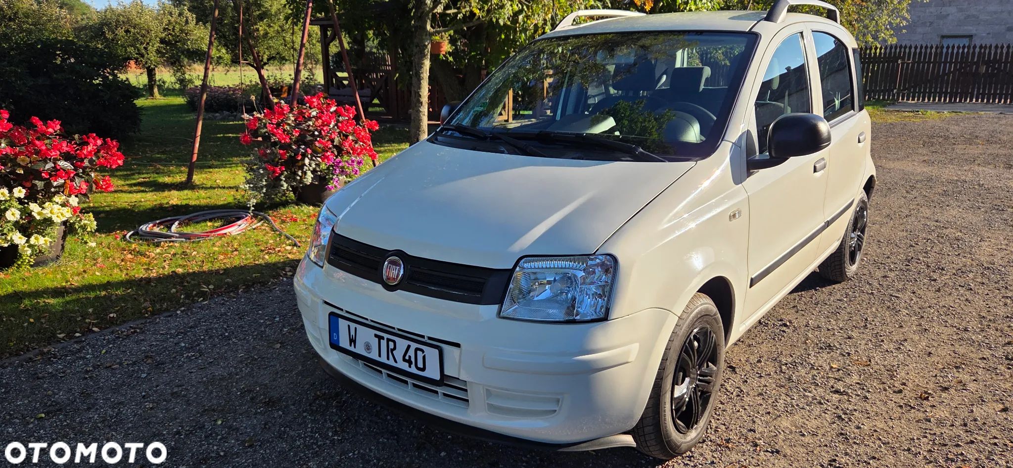 Fiat Panda 1.2 Dynamic - 1