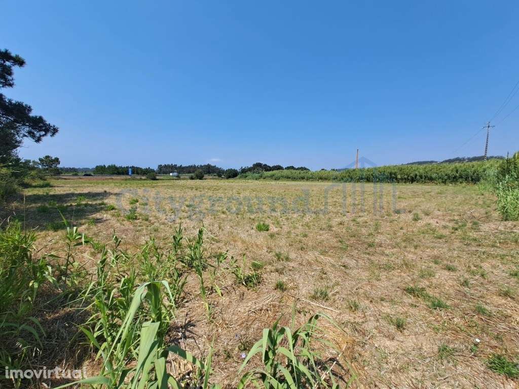 Terreno para Indústria perto da A8 - Grande imagem: 3/5