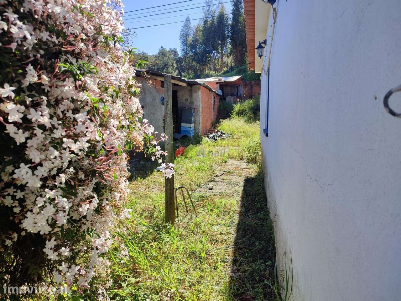 Moradia térrea c/ 680m2 de terreno na Carregueira – Chamusca - Grande imagem: 5/13