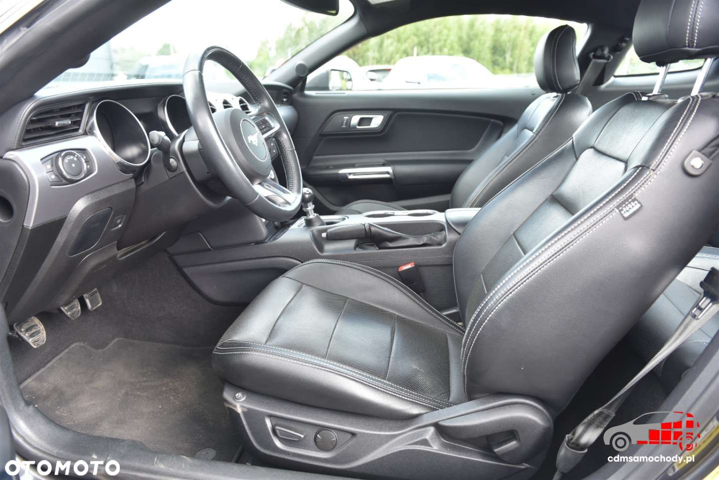 Ford Mustang 5.0 V8 GT - 13