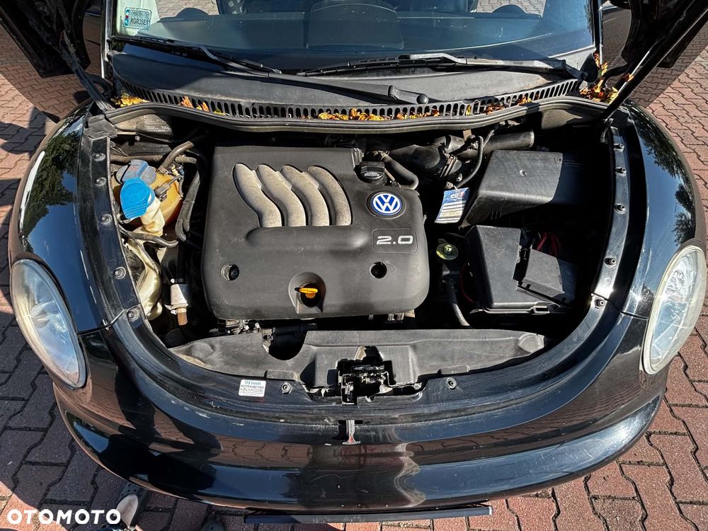 Volkswagen New Beetle - 9