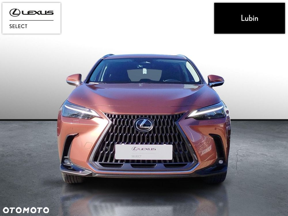 Lexus NX - 8