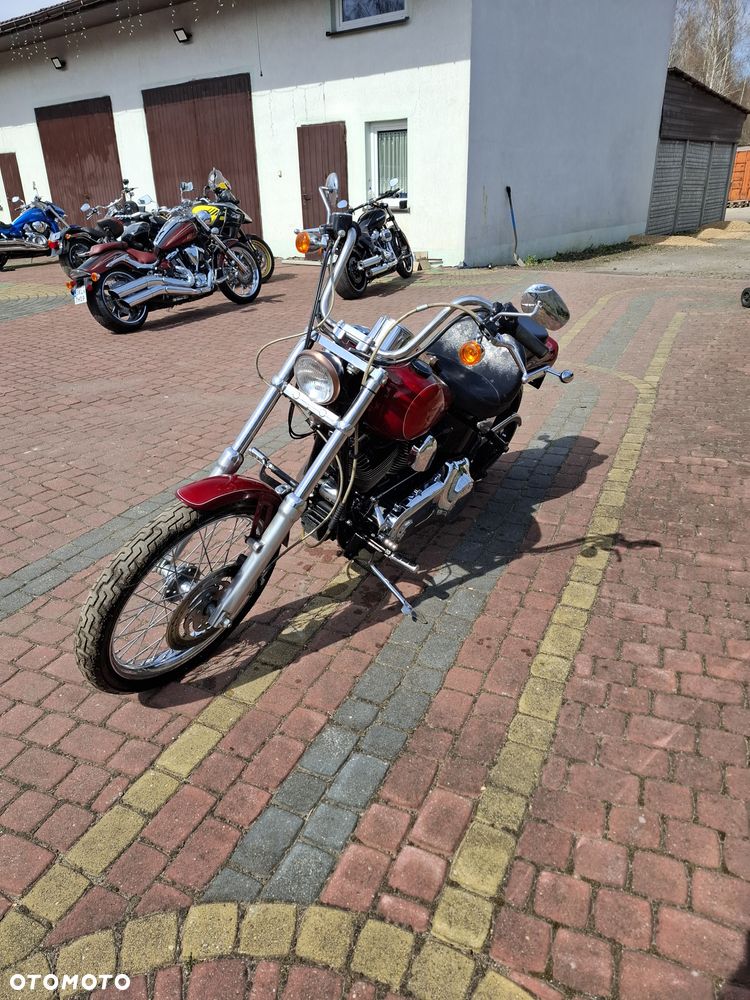 Harley-Davidson Softail - 9