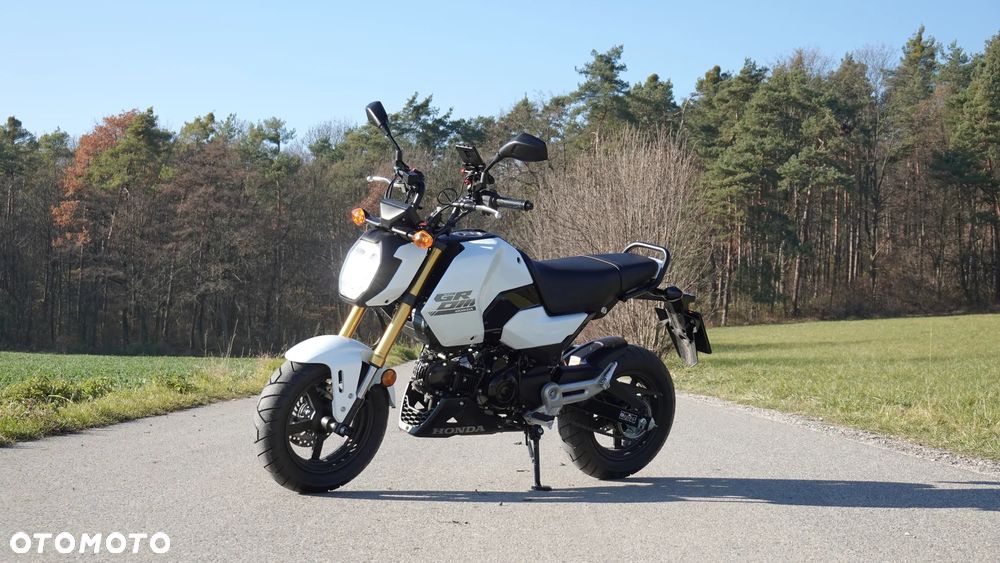 Honda MSX 125 - 6