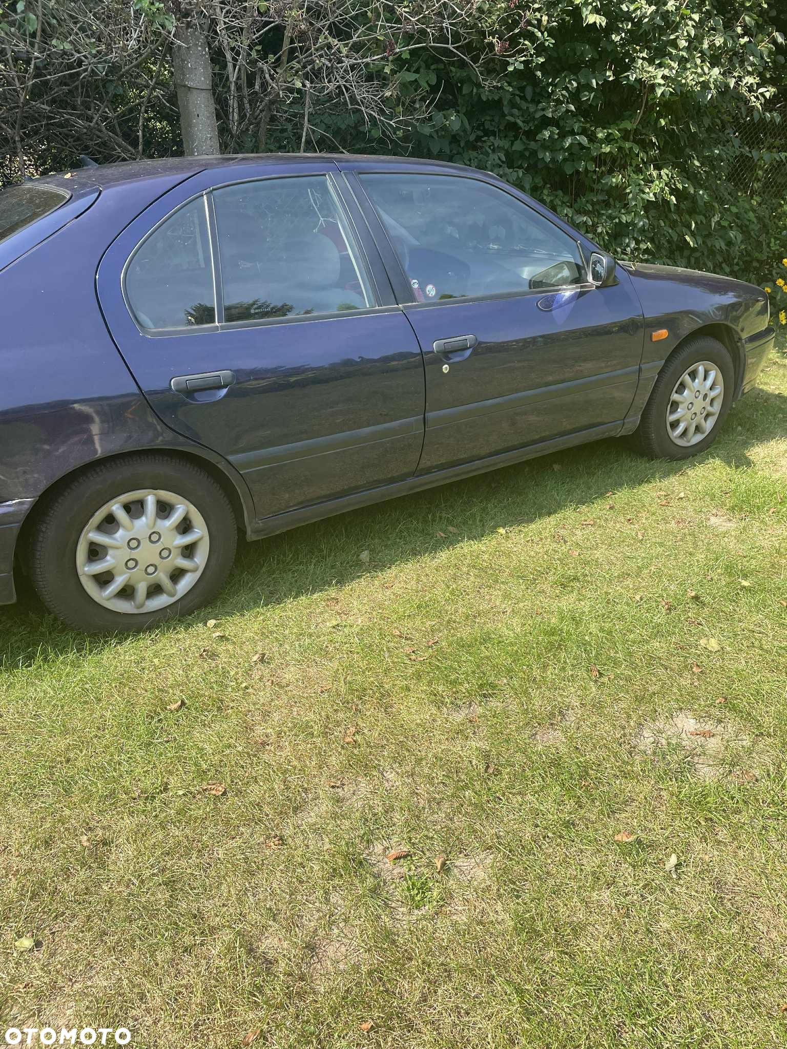 Nissan Primera 2.0 D LX - 3
