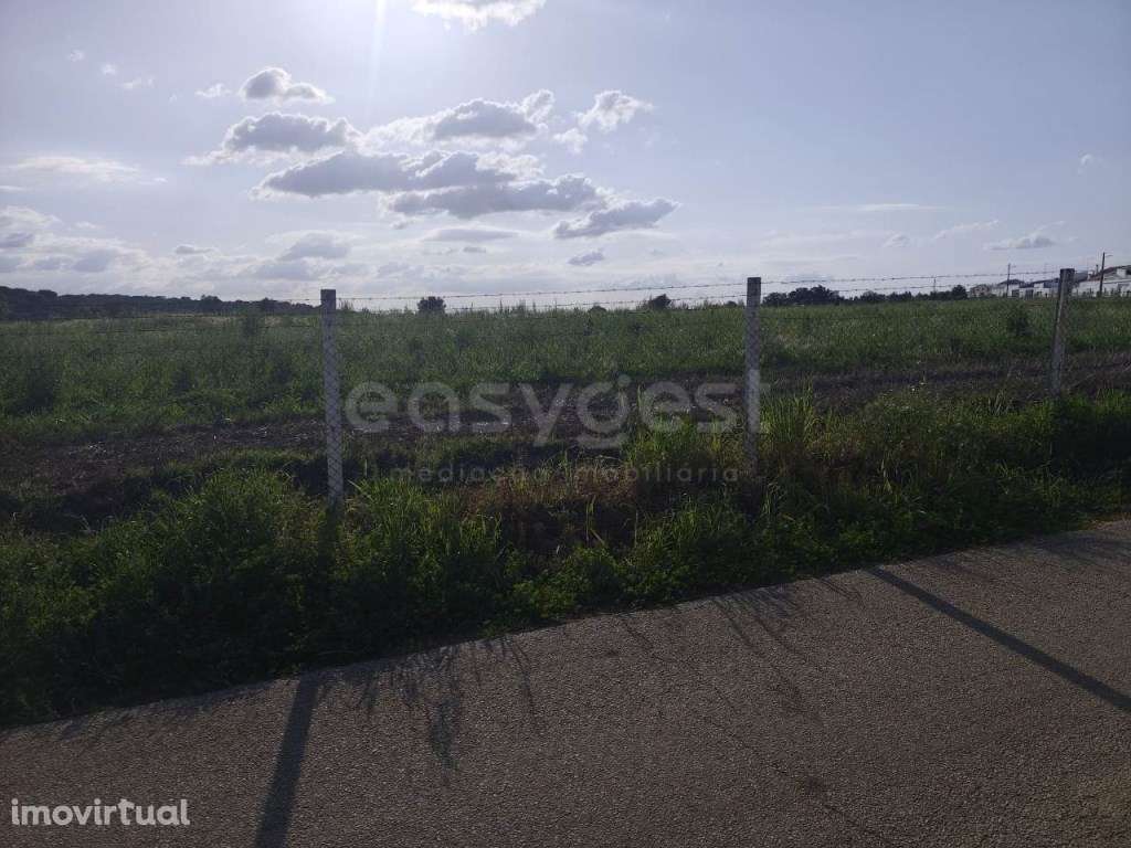 Terreno rústico com 2,925 ha, localizado em Jungeiros - Grande imagem: 4/21