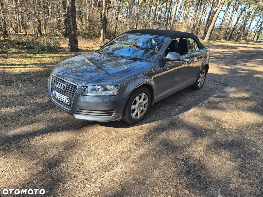 Audi A3 Cabrio 1.6 Attraction - 1