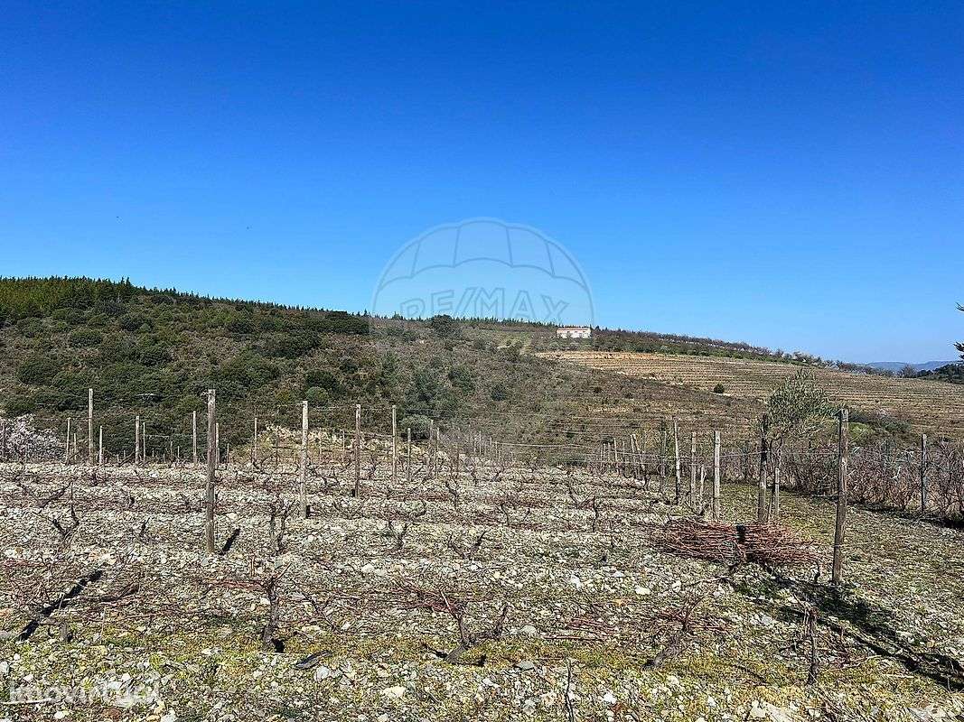 Terreno  para venda - Grande imagem: 2/17