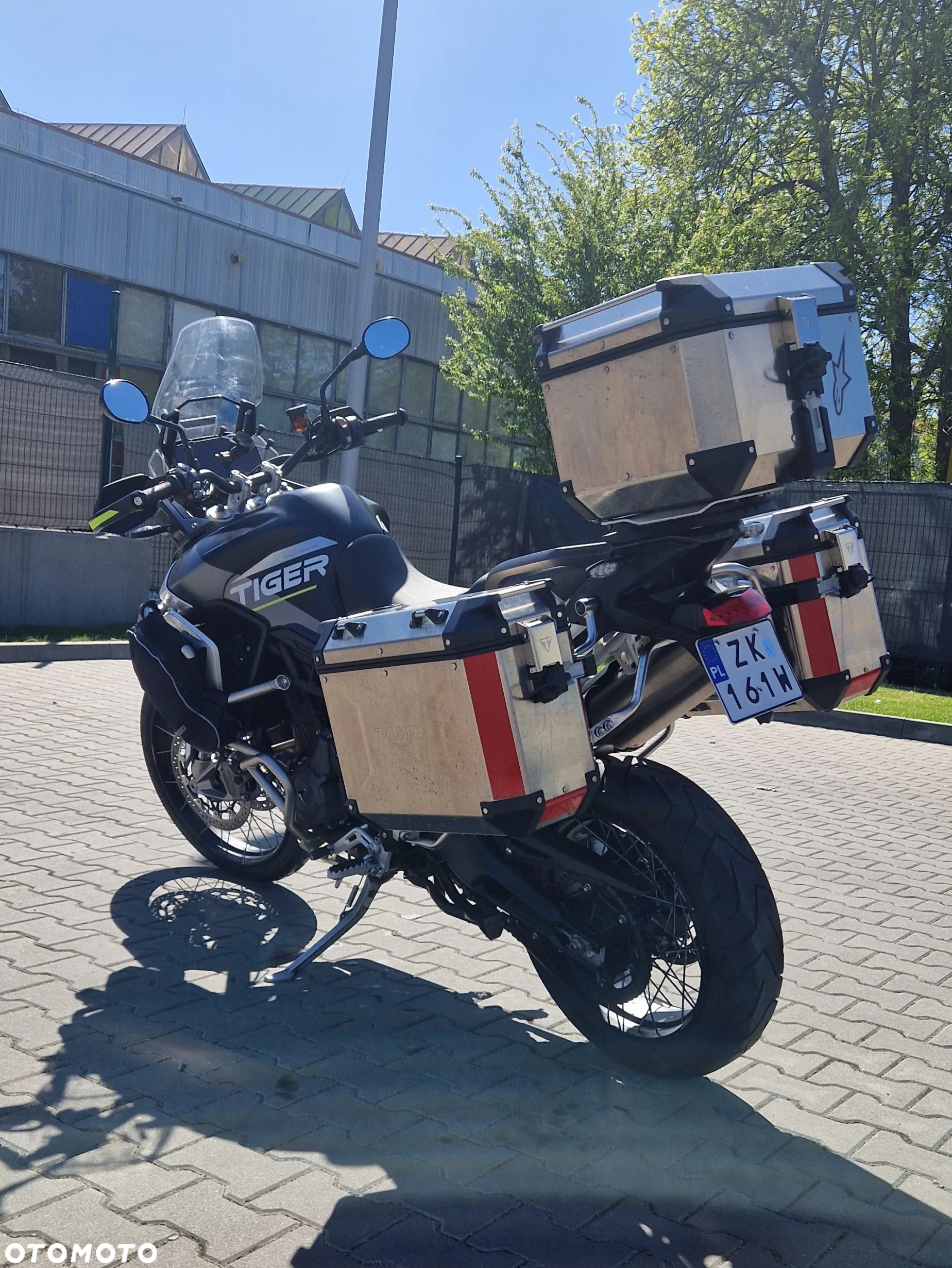 Triumph Tiger - 8