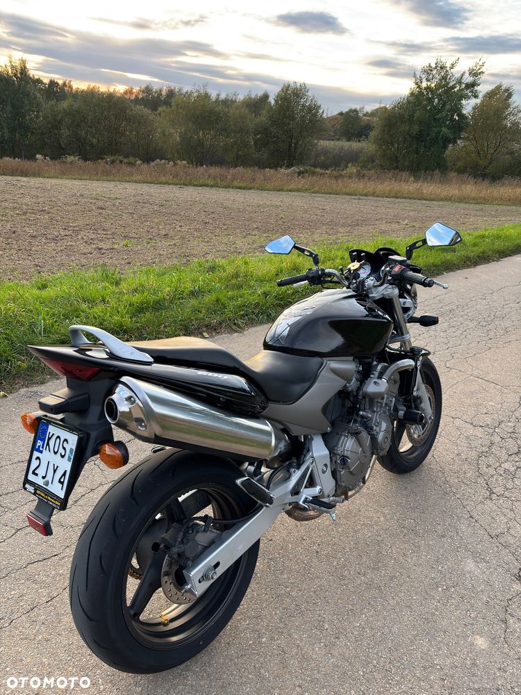 Honda Hornet