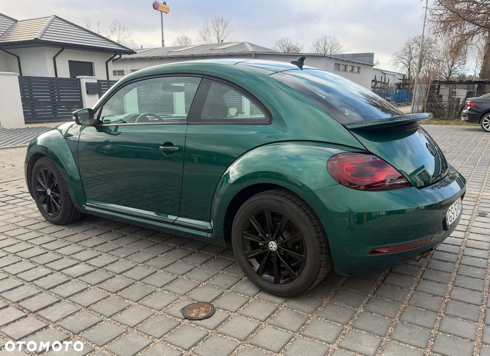 Volkswagen Beetle - 5