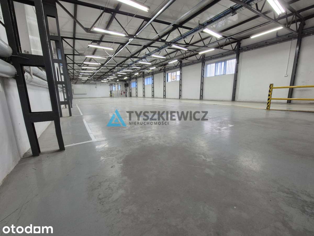 Hala magazynowo- produkcyjno- usługowa na wynajem - Pełny obrazek: 3/11