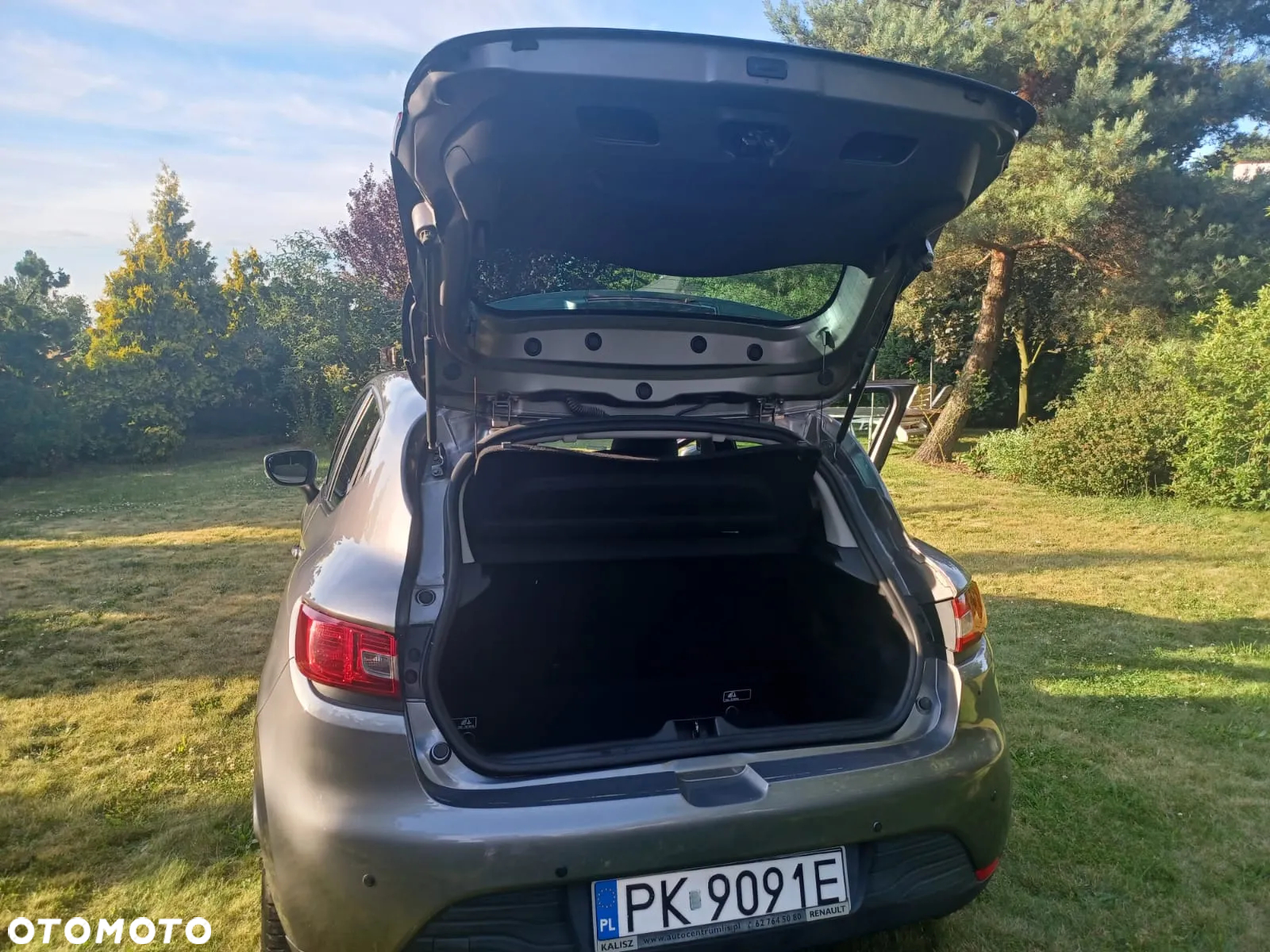 Renault Clio - 17