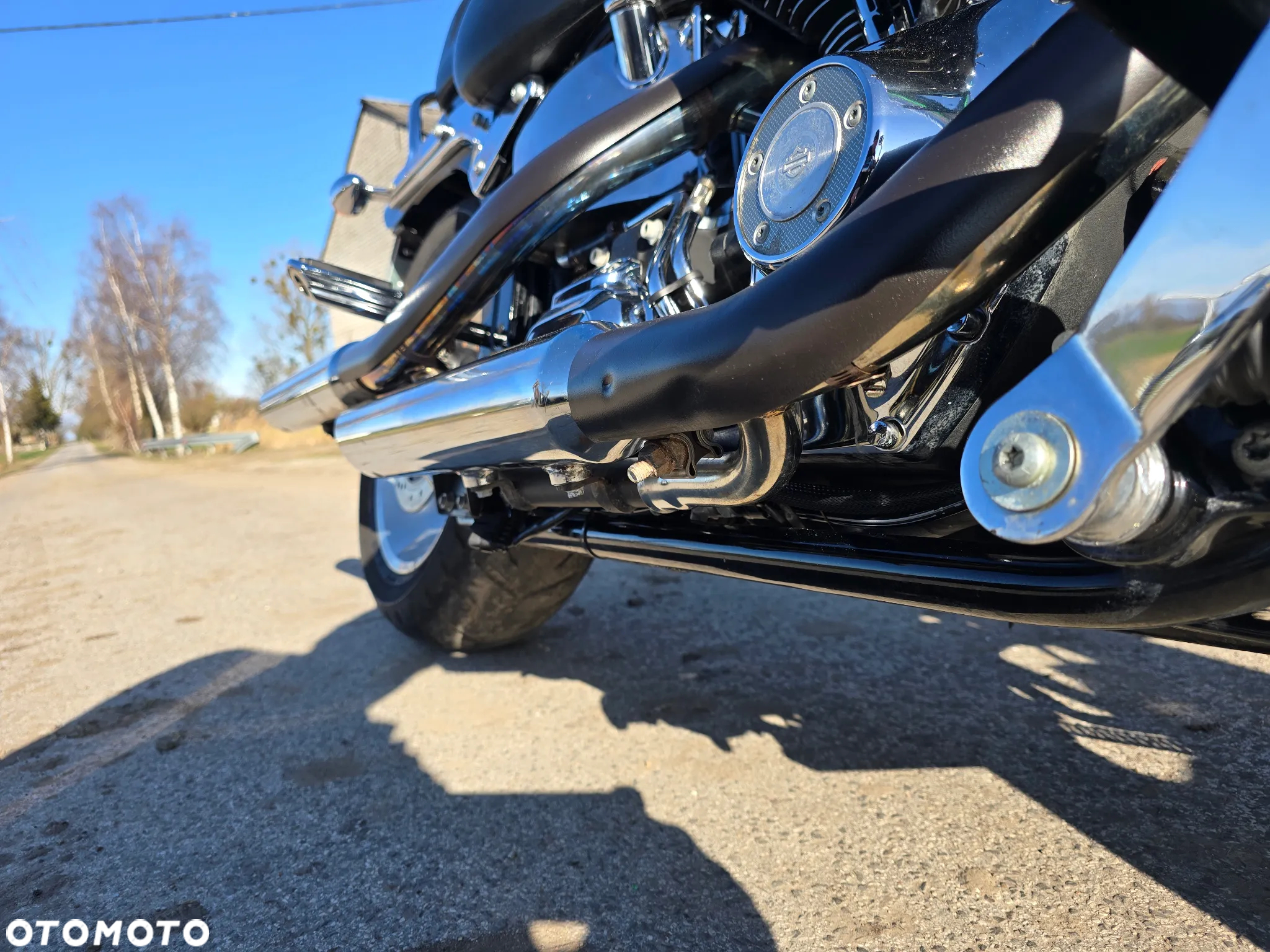 Harley-Davidson Softail Custom - 24