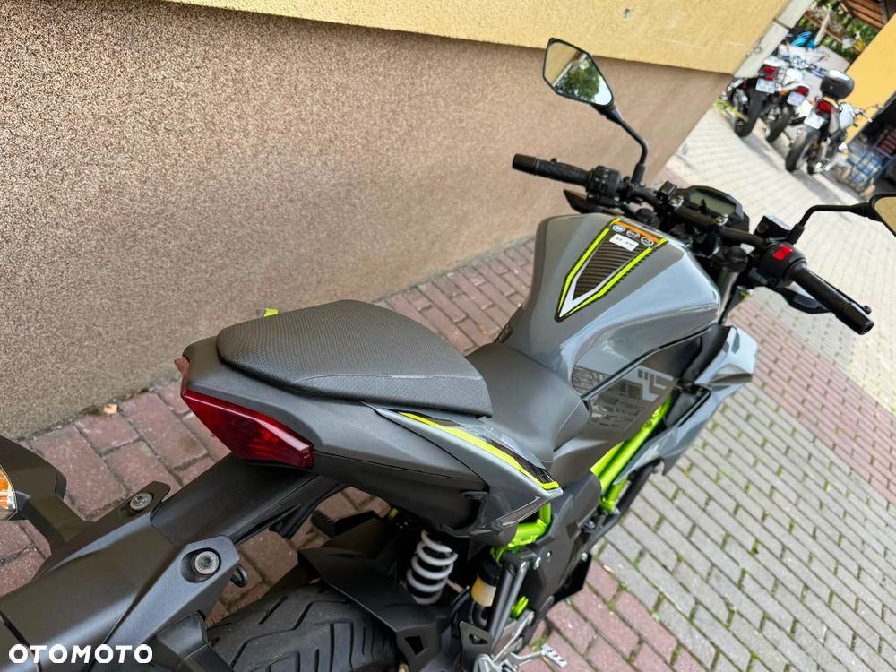 Kawasaki Z - 31
