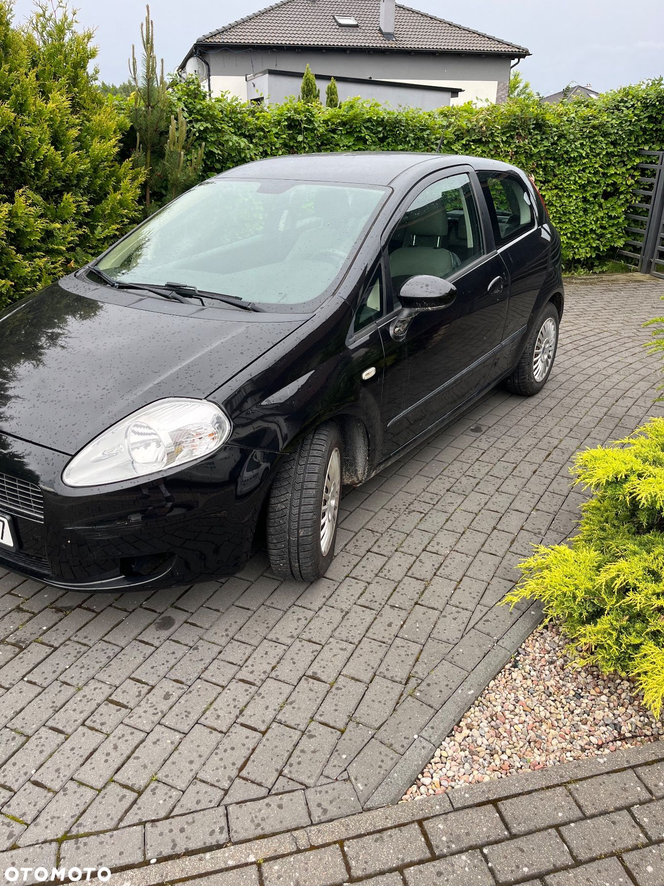 Fiat Punto 1.2 8V - 1