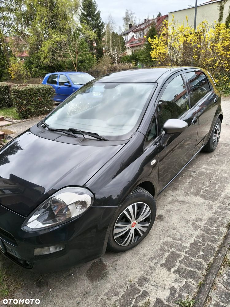 Fiat Punto 1.2 Young - 5