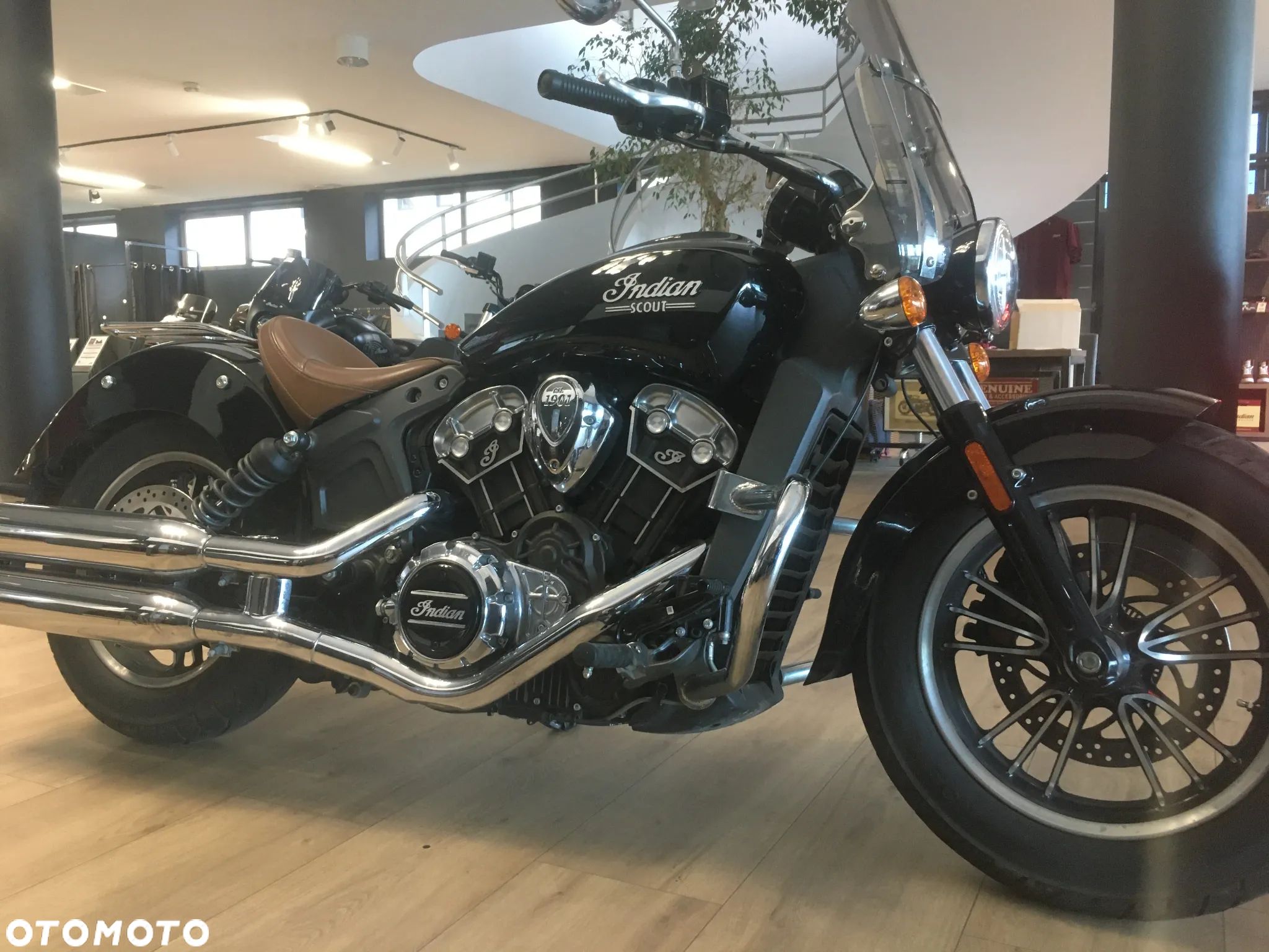Indian Scout - 1