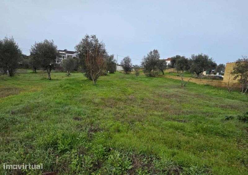 TERRENO URBANO COM 1.180 M² | MOURISCAS, ABRANTES - Grande imagem: 4/5