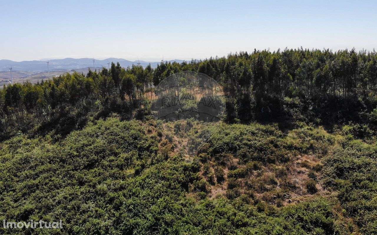 Terreno  para venda - Grande imagem: 4/20