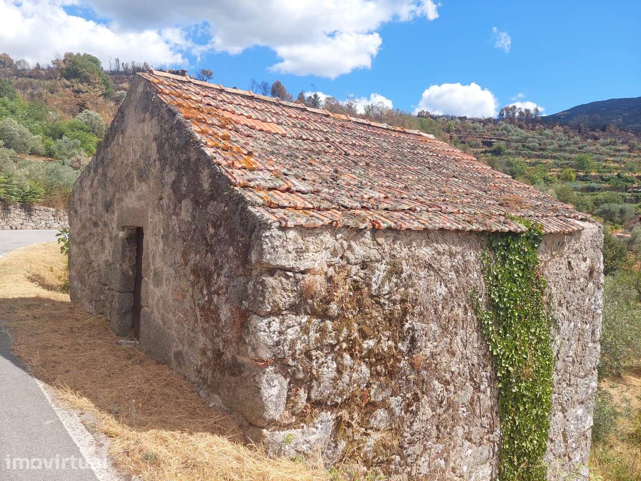 Quintinha  Venda em Figueiró da Serra e Freixo da Serra,Gouveia - Grande imagem: 4/5
