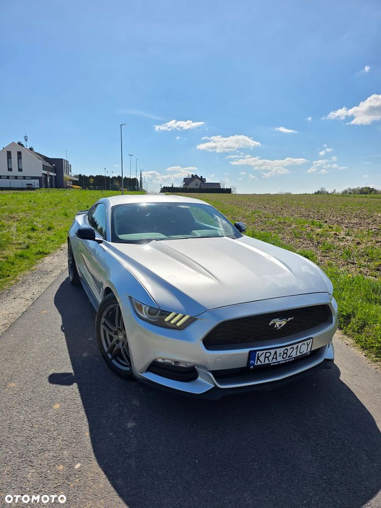 Ford Mustang 3.7 V6 - 21