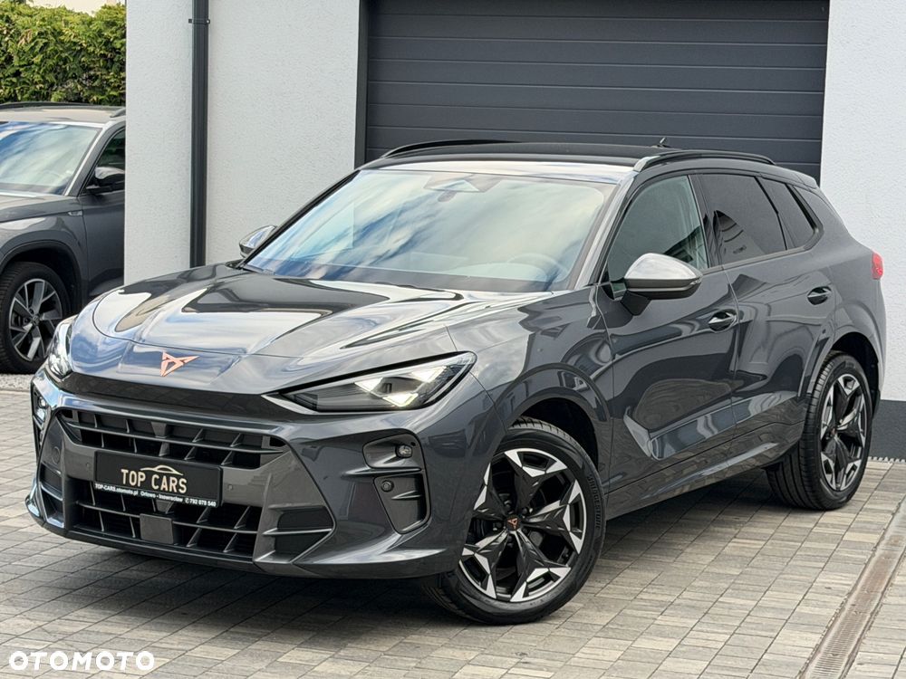 Cupra Terramar 2.0 TSI 4Drive DSG VZ - 17