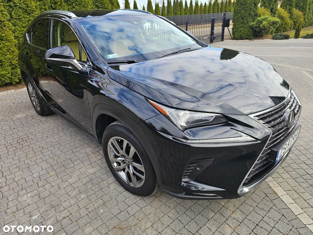 Lexus NX 300 Comfort AWD - 4