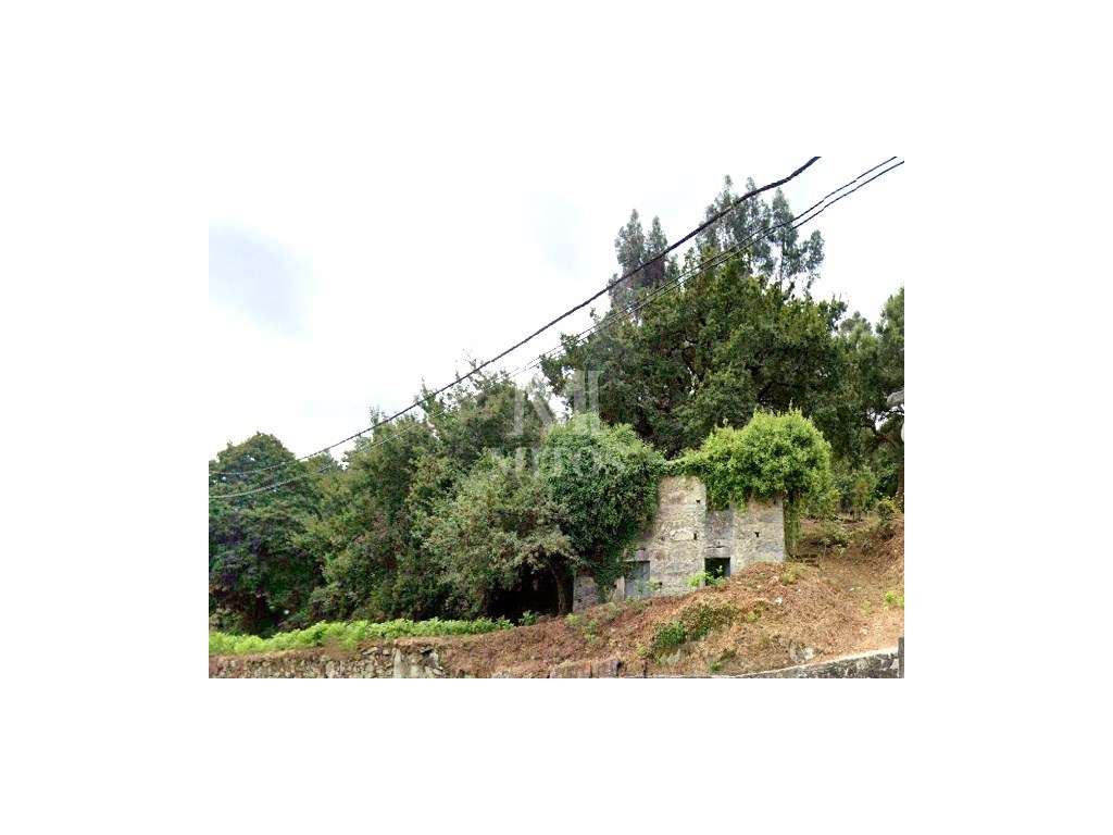 Terreno com ruína em Tregosa - Barcelos - Grande imagem: 2/14