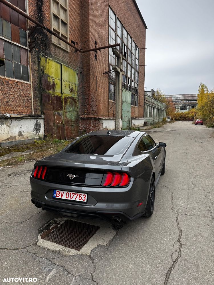 Ford Mustang - 5